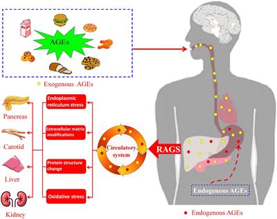 Fluorescent advanced glycation end products in type 2 diabetes and its association with diabetes duration, hemoglobin A1c, and diabetic complications